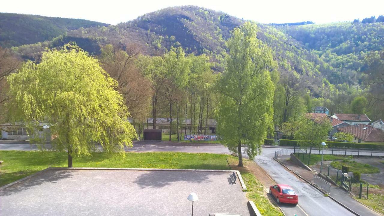 Le Bois Bryas Apartment Revin  Bagian luar foto